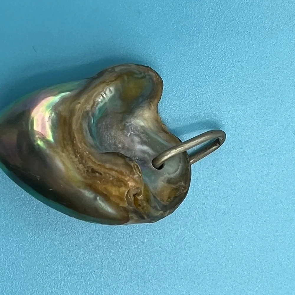 Organic Shape (Heart) Abalone Pendant - Picture 3 of 5